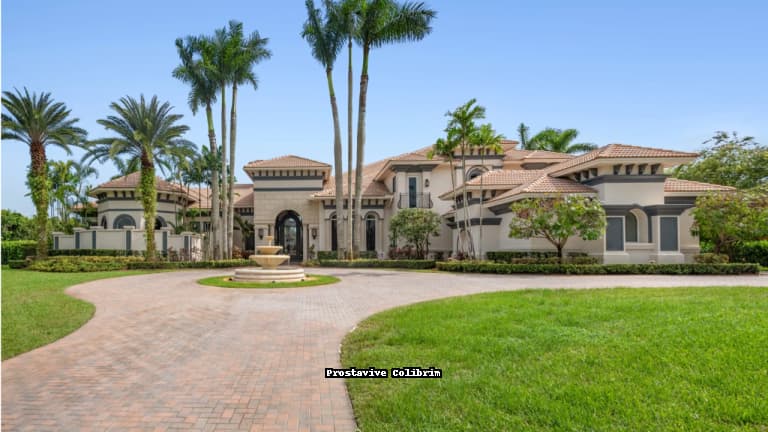 A luxurious Mediterranean-style estate in Southwest Ranches, Florida, featuring a grand entrance, tall palm trees, a circular driveway, and a central fountain.